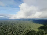 Unchecked climate change will cause severe drying of the Amazon forest