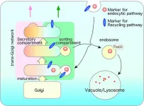 Uncovering novel mechanisms of endocytosis and intracellular trafficking