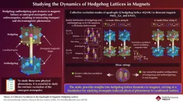 Uncovering the nature of emergent magnetic monopoles