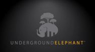 Underground Elephant Announces Addition of Former LeadPoint Engineer, Alex Chang