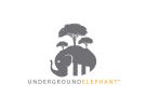 Underground Elephant Announces Daniel Kimm as General Manager of Financial Verticals