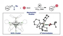 Understanding catalytic couplings: not all synergies are simple