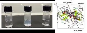 Understanding how zwitterionic polymers can lead to safer drugs and disease prevention 2