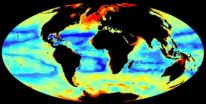 Understanding patterns of seafloor biomass