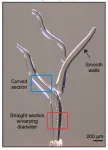 Understanding the 3D ice-printing process to create micro-scale structures