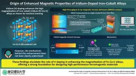 Understanding the origin of magnetic moment enhancement in novel alloys