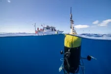 Underwater robot offers new insight into mid-ocean twilight zone