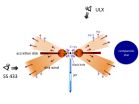 Unexpectedly little black-hole monsters rapidly suck up surrounding matter 3