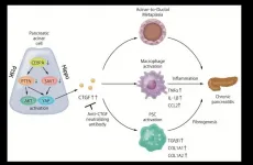 Unforeseen links to chronic pancreatitis found in cancer-related signals