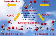 Unimolecular reactions of anti-glycolaldehyde oxide and its reactions with one and two water molecules