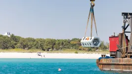 Unique hybrid reefs deployed off Miami Beach