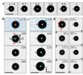 UNIST researchers uncover revolutionary phenomenon in liquid crystals 2