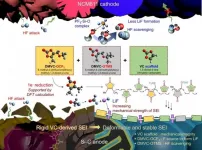 UNIST to develop new electrolyte additives for high-energy-density LIBs