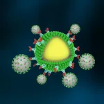 University of Chicago scientists design Nanotraps to catch, clear coronavirus