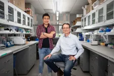 University of Kentucky researchers discover fundamental roles of glucosamine in brain