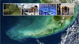 University of Miami receives $1.8 million NOAA grant to study South Florida’s coastal ecosystems
