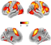 Unlocking brain secrets: New insights into how our minds control impulses