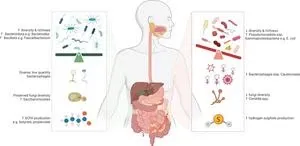 Unlocking precision medicine for inflammatory bowel disease 2