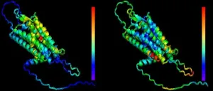 Unlocking the human genome: Innovative machine learning tool predicts functional consequences of genetic variants