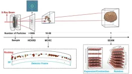 Unlocking the mystery behind the performance decline in a promising cathode material