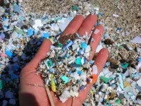 Unprecedented increase in ocean plastic since 2005 revealed by four decades of global analysis