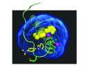 Unraveling Alzheimers: Simple small molecules could untangle complex disease