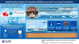 Unraveling the connection between Canadian wildfires and arctic ice clouds