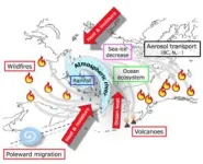 Unraveling the connection between Canadian wildfires and arctic ice clouds 2