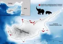 Unravelling an ancient European extinction mystery: Disappearance of dwarf megafauna on palaeolithic Cyprus 3