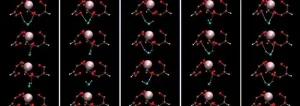 Unravelling the water dynamics and structure of water-coordinated metal complexes