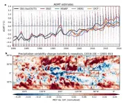 Unveiling global warming’s impact on daily precipitation with deep learning