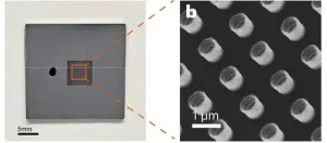 Unveiling Oxidation-induced Super-elasticity in Metallic Glass Nanotubes