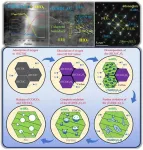 Unveiling the effect of Ti substitutions on the static oxidation behavior of (Hf,Ti)C at 2500 ℃