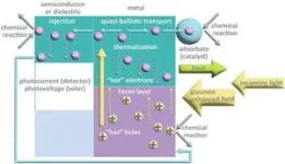 Unveiling the power of hot carriers in plasmonic nanostructures 2