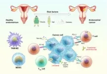 Unveiling the role of tumor-infiltrating immune cells in endometrial carcinoma 2