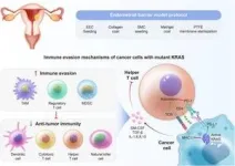 Unveiling the role of tumor-infiltrating immune cells in endometrial carcinoma 3