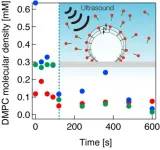 Unveiling the science of ultrasound-driven microbubble desorption