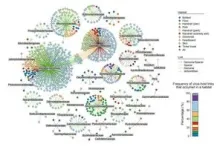 Unveiling the secret of viruses-bacteria interactions in man-made environments 2