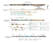 Unveiling the secret of viruses-bacteria interactions in man-made environments 3