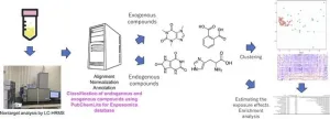 Unveiling unknown chemicals in human serum samples