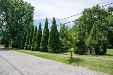 UofL Green Heart Louisville Project study shows reduced inflammation in residents after adding trees to their neighborhoods