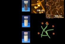 Upcycling spent coffee grounds by isolating Mannan-rich Holocellulose nanofibers