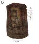 Uranium signatures in turtles and tortoises near nuclear testing and waste sites 2