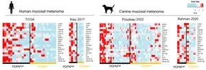 Uruguay needs to strengthen screening awareness with 69 percent of vaccinated women having cervical screening tests 3