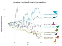 US bird populations continue alarming decline, new report finds