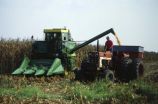 US farmers dodge the impacts of global warming -- at least for now