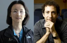 USC’s Rong Lu and Caltech’s Michael B. Elowitz win the NIH Director’s Transformative Research Award for their new approach to study blood and immune cell production in bone marrow