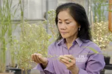 USDA-NIFA grant supports microwave tech to zap weed seeds