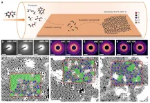 User of SHMFF reveals the structure-property relationship of two-dimensional amorphous carbon