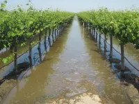 Using floodwaters to weather droughts